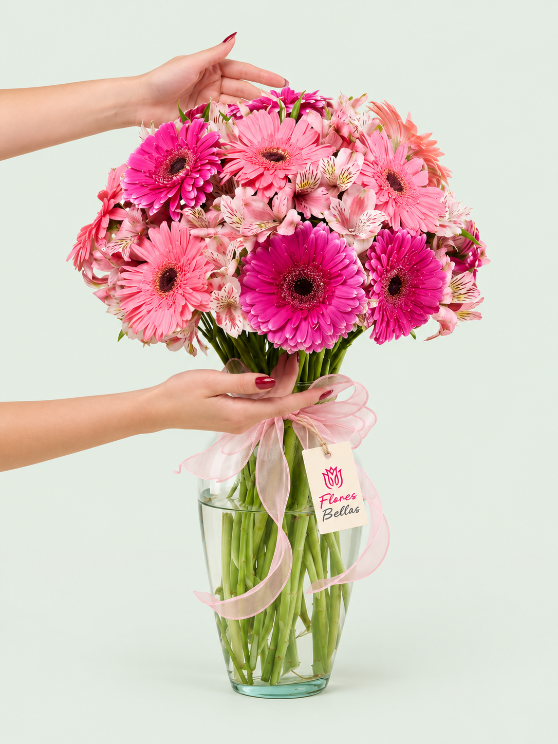 12 Gerberas Rosas y Alstroemerias - Imagen 2