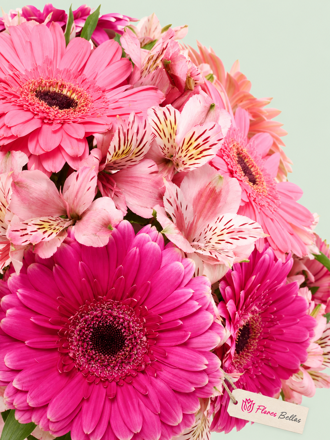 12 Gerberas Rosas y Alstroemerias - Imagen 3